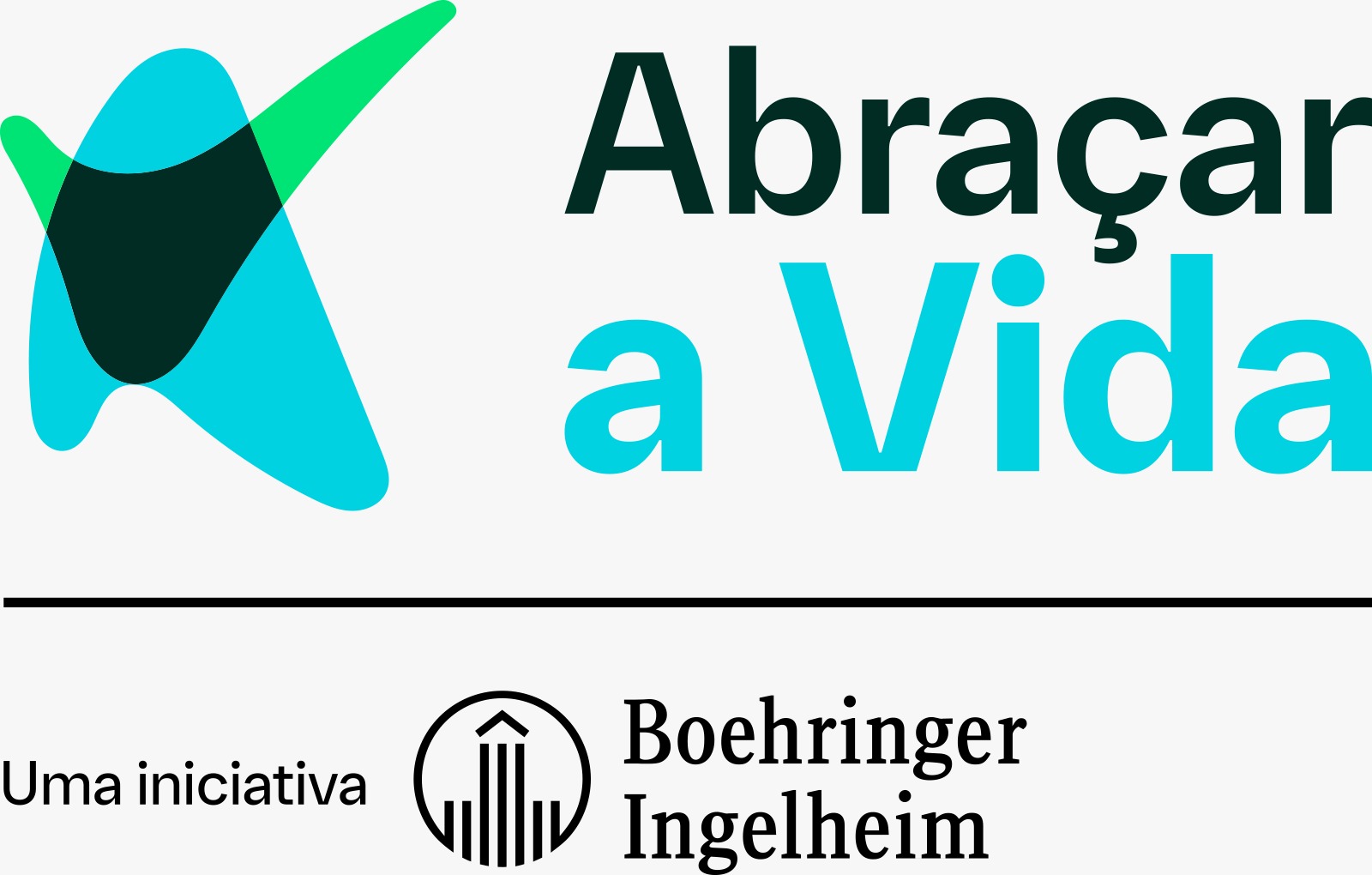 Logotipo - PROGRAMA BOEHRINGER